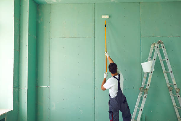 Professional Mold Removal in Hill City, KS