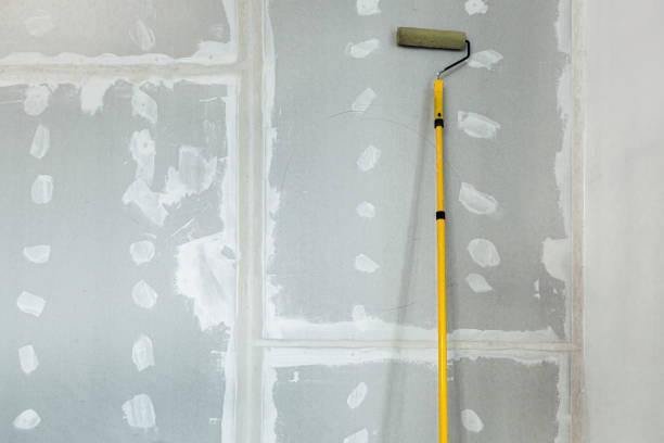  Hill City, KS Mold Removal Pros