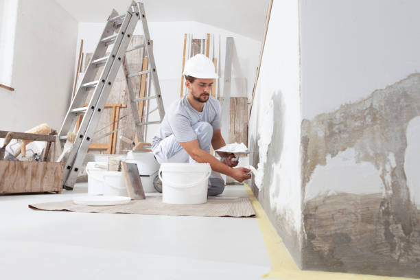 Best Mold Documentation for Insurance Claims  in Hill City, KS