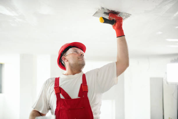 Best Basement Mold Removal  in Hill City, KS