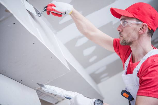 Best Commercial Mold Inspection  in Hill City, KS
